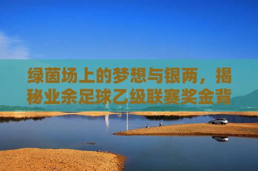 绿茵场上的梦想与银两，揭秘业余足球乙级联赛奖金背后的故事