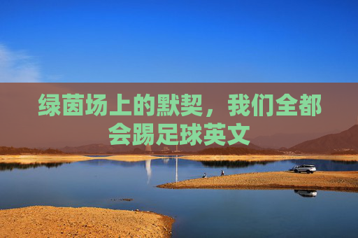 绿茵场上的默契，我们全都会踢足球英文