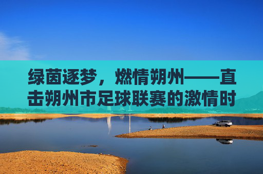 绿茵逐梦，燃情朔州——直击朔州市足球联赛的激情时刻