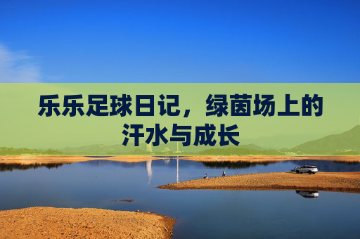 乐乐足球日记，绿茵场上的汗水与成长