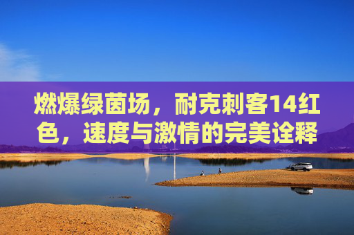 燃爆绿茵场，耐克刺客14红色，速度与激情的完美诠释