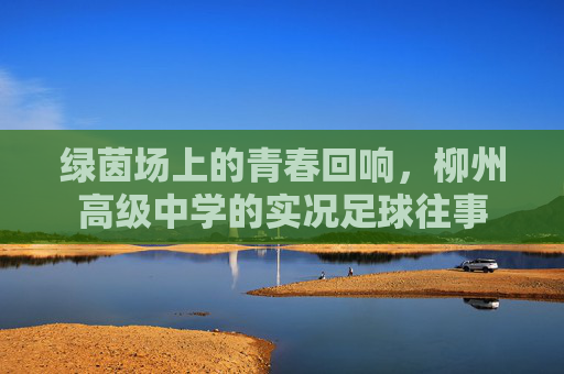 绿茵场上的青春回响，柳州高级中学的实况足球往事