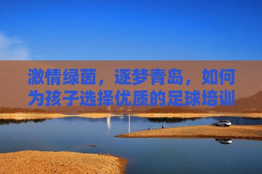 激情绿茵，逐梦青岛，如何为孩子选择优质的足球培训班？