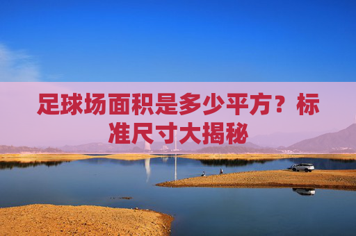 足球场面积是多少平方？标准尺寸大揭秘