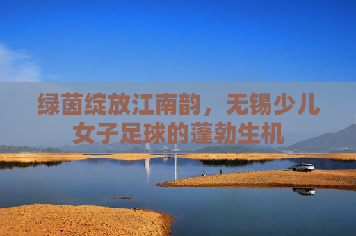 绿茵绽放江南韵，无锡少儿女子足球的蓬勃生机