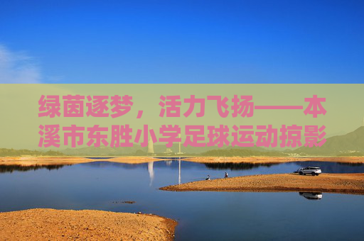 绿茵逐梦，活力飞扬——本溪市东胜小学足球运动掠影