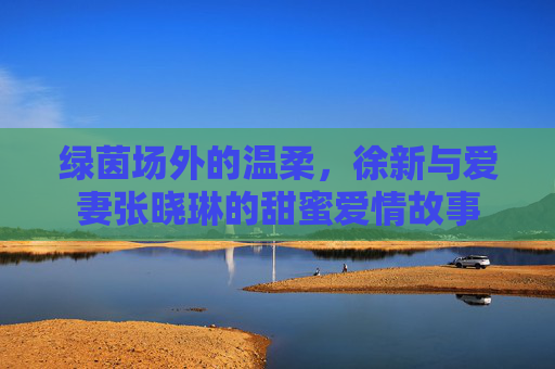 绿茵场外的温柔，徐新与爱妻张晓琳的甜蜜爱情故事