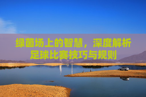 绿茵场上的智慧，深度解析足球比赛技巧与规则