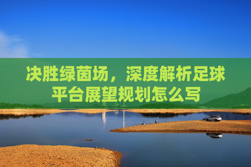 决胜绿茵场，深度解析足球平台展望规划怎么写