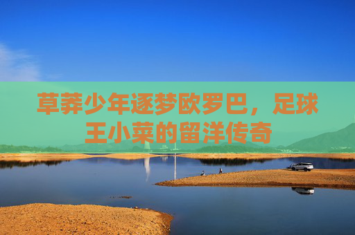 草莽少年逐梦欧罗巴，足球王小菜的留洋传奇