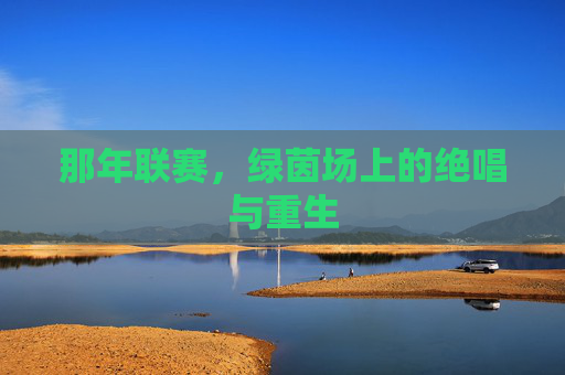 那年联赛，绿茵场上的绝唱与重生