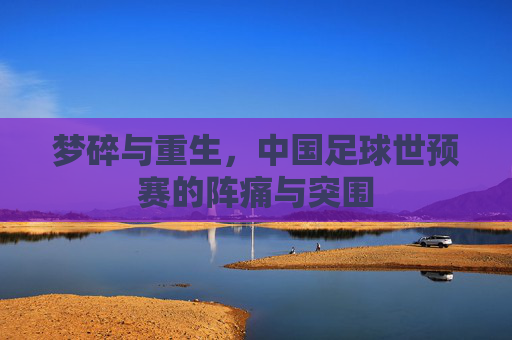 梦碎与重生，中国足球世预赛的阵痛与突围