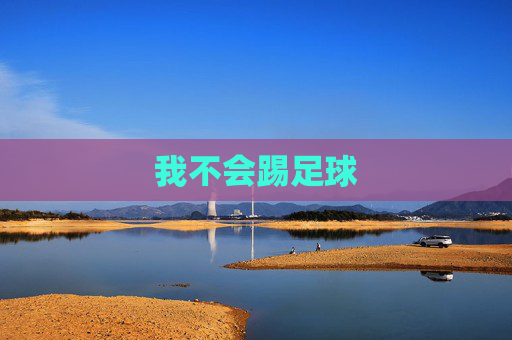 我不会踢足球