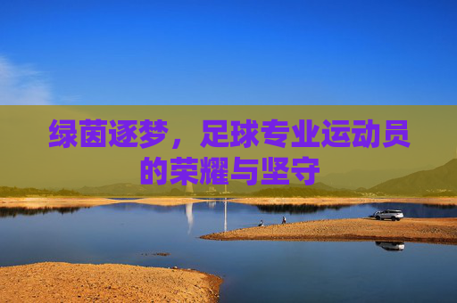 绿茵逐梦，足球专业运动员的荣耀与坚守