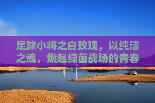 足球小将之白玫瑰，以纯洁之魂，燃起绿茵战场的青春绝唱