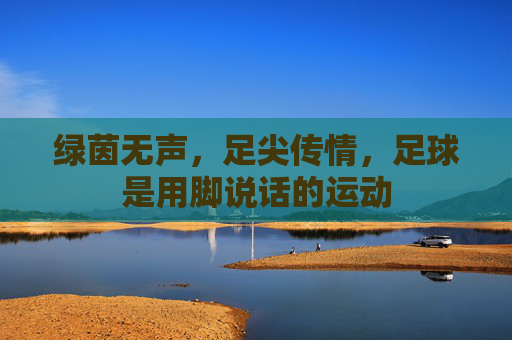 绿茵无声，足尖传情，足球是用脚说话的运动