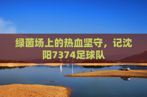 绿茵场上的热血坚守，记沈阳7374足球队