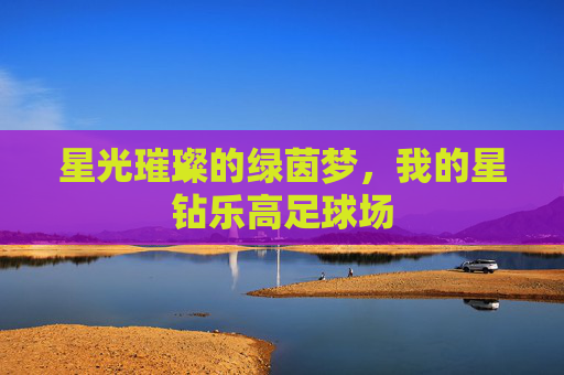 星光璀璨的绿茵梦，我的星钻乐高足球场