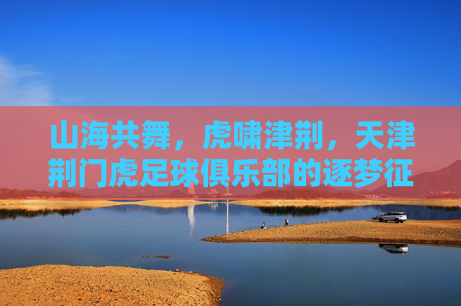 山海共舞，虎啸津荆，天津荆门虎足球俱乐部的逐梦征程