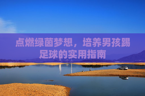 点燃绿茵梦想，培养男孩踢足球的实用指南