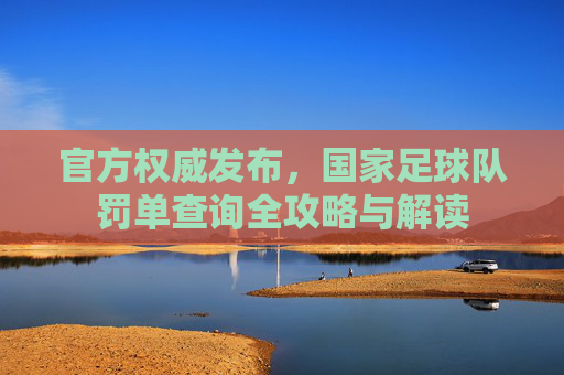 官方权威发布，国家足球队罚单查询全攻略与解读