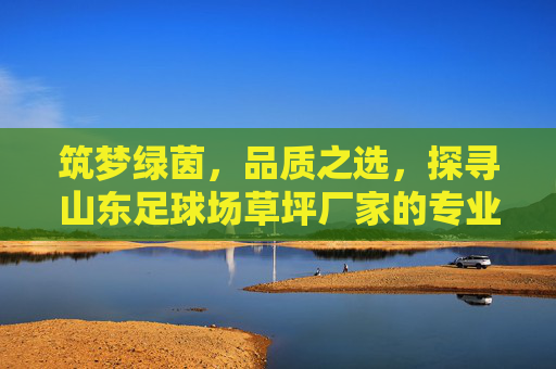 筑梦绿茵，品质之选，探寻山东足球场草坪厂家的专业之道