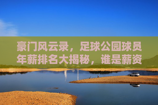豪门风云录，足球公园球员年薪排名大揭秘，谁是薪资之王？
