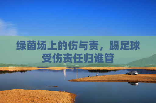 绿茵场上的伤与责，踢足球受伤责任归谁管
