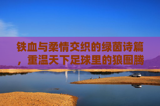 铁血与柔情交织的绿茵诗篇，重温天下足球里的狼图腾