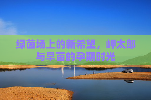 绿茵场上的新希望，岬太郎与早苗的孕期时光