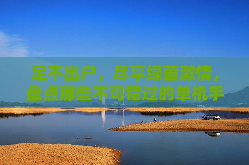 足不出户，尽享绿茵激情，盘点那些不可错过的单机手机足球游戏