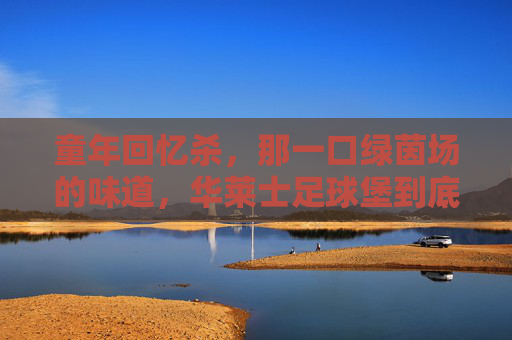 童年回忆杀，那一口绿茵场的味道，华莱士足球堡到底有多绝？