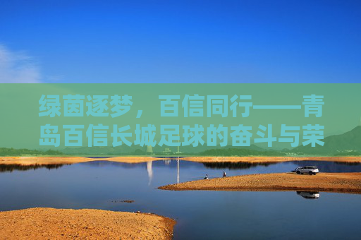 绿茵逐梦，百信同行——青岛百信长城足球的奋斗与荣耀