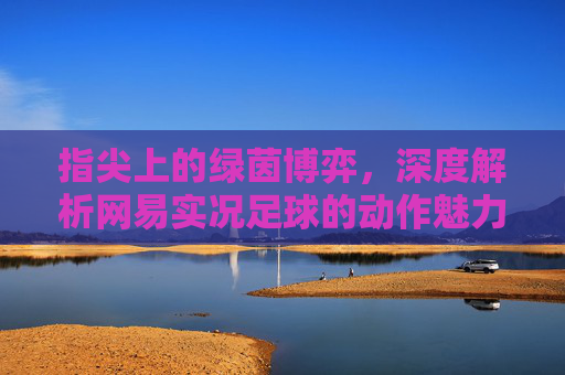 指尖上的绿茵博弈，深度解析网易实况足球的动作魅力
