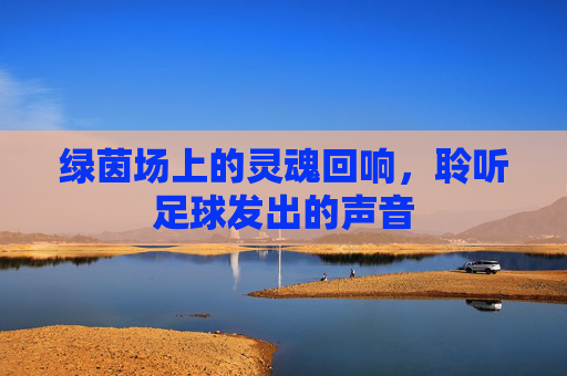 绿茵场上的灵魂回响，聆听足球发出的声音