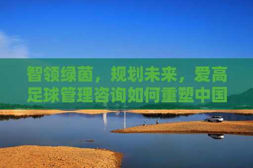 智领绿茵，规划未来，爱高足球管理咨询如何重塑中国足球竞争力