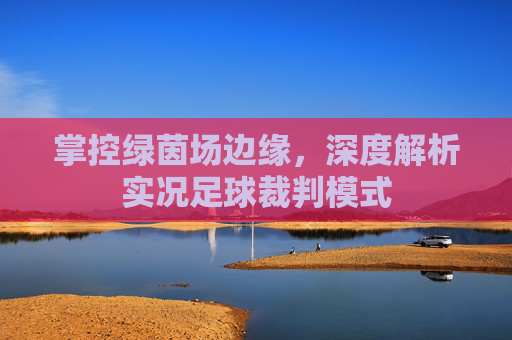 掌控绿茵场边缘，深度解析实况足球裁判模式