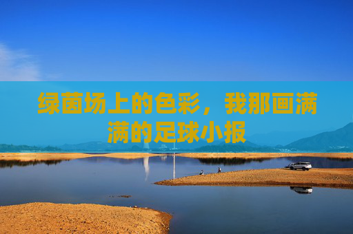 绿茵场上的色彩，我那画满满的足球小报