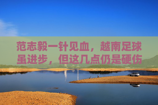 范志毅一针见血，越南足球虽进步，但这几点仍是硬伤