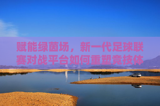 赋能绿茵场，新一代足球联赛对战平台如何重塑竞技体验