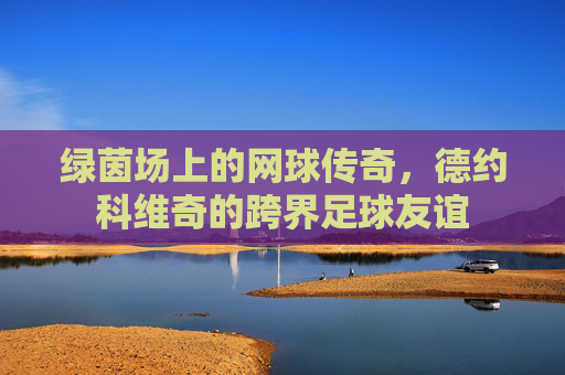 绿茵场上的网球传奇，德约科维奇的跨界足球友谊