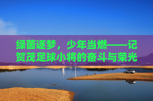 绿茵逐梦，少年当燃——记贺茂足球小将的奋斗与荣光