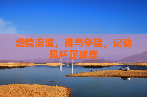 燃情洛城，谁与争锋，记劲风杯足球赛