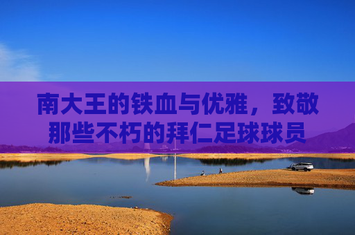 南大王的铁血与优雅，致敬那些不朽的拜仁足球球员