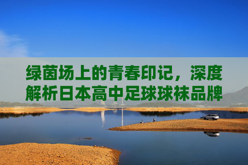 绿茵场上的青春印记，深度解析日本高中足球球袜品牌文化