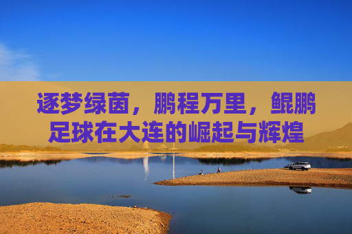 逐梦绿茵，鹏程万里，鲲鹏足球在大连的崛起与辉煌