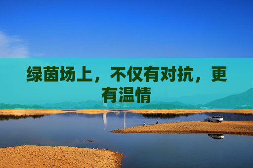 绿茵场上，不仅有对抗，更有温情