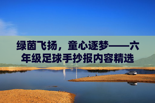 绿茵飞扬，童心逐梦——六年级足球手抄报内容精选
