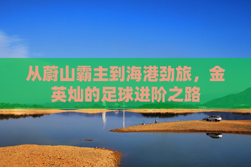 从蔚山霸主到海港劲旅，金英灿的足球进阶之路