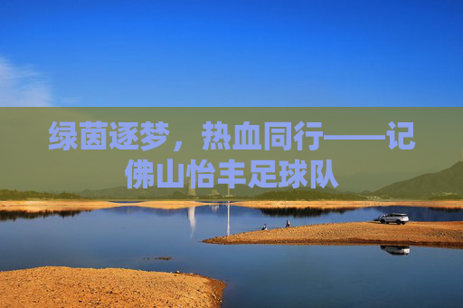 绿茵逐梦，热血同行——记佛山怡丰足球队